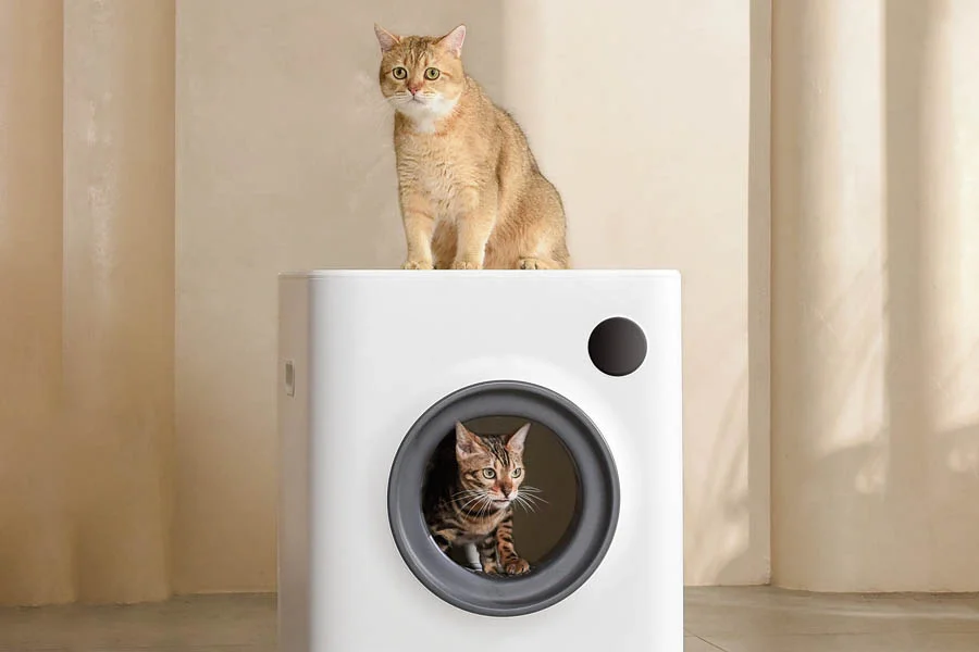 odorless litter box