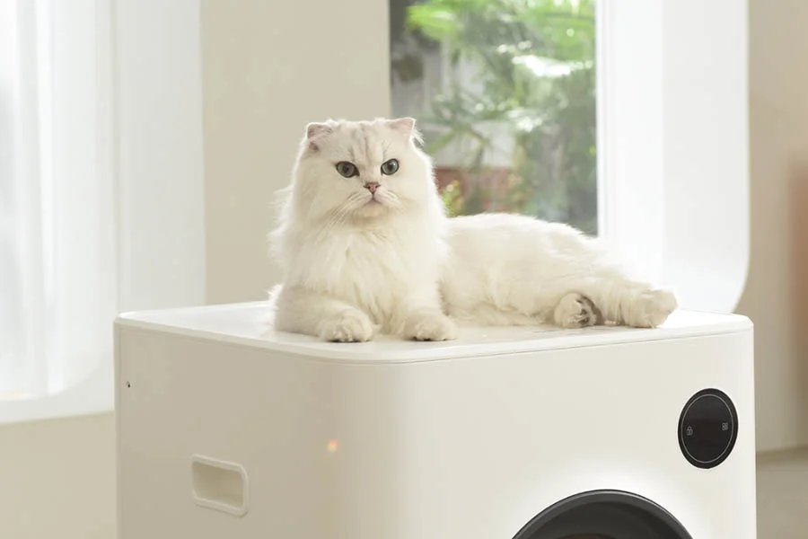 odorless litter box