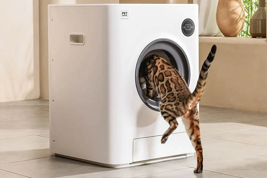 odorless litter box